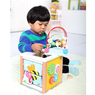 Activity Cube